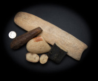 Raw Materials/Fossil Walrus Ivory