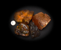Raw Materials/Amber