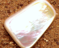 Altar Stones/Mother of Pearl