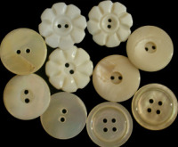 Pearl Shell/Pearl Buttons