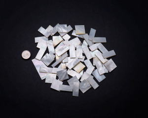 White Mother of Pearl Precision Cut Pieces