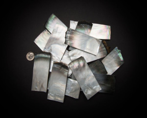 Black Mother of Pearl Cut Strips and Pieces
