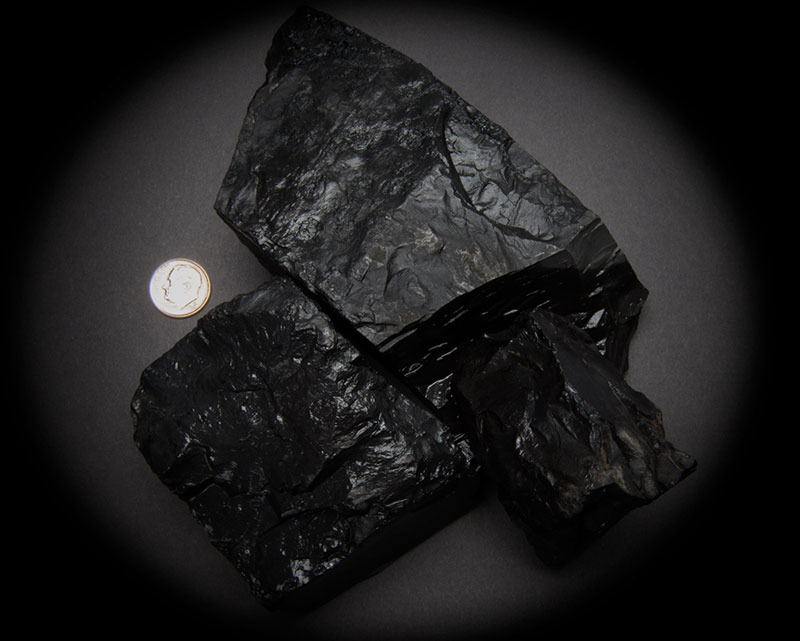 Set of 10 beads Black Jet Stone Lignite Gagat Black AmberPetrified Wood