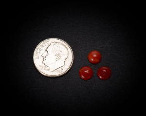 6 mm Round Coral Cabochons