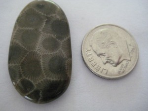 Fossil Coral (Petoskey Stone) 22.5 carats