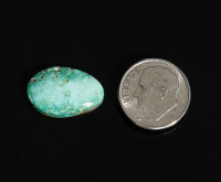 Fox Turquoise 9.10 cts.