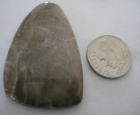 Fossil Coral (Petoskey Stone) 48 carats